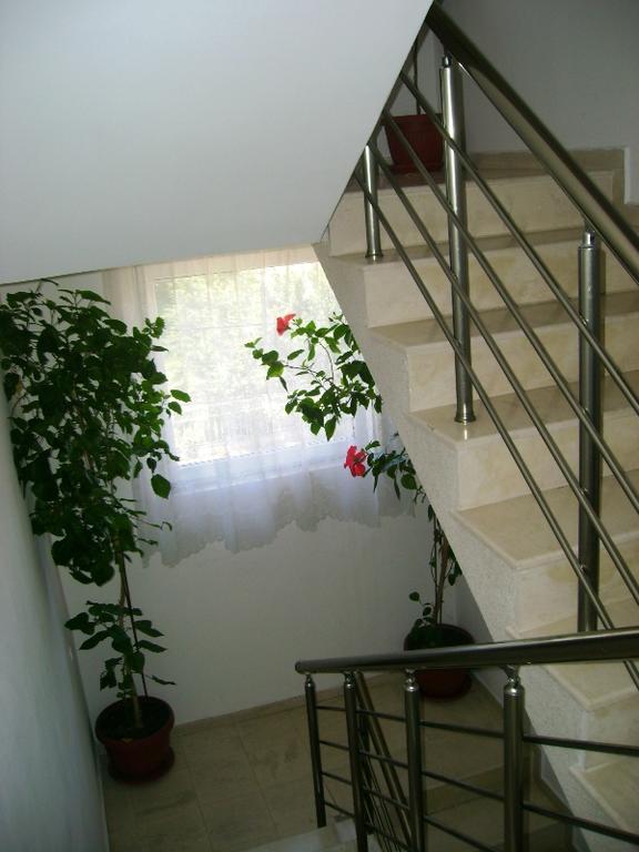 Guest House Jumbo 阿赫洛伊 外观 照片
