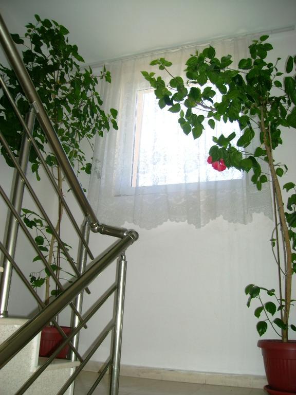 Guest House Jumbo 阿赫洛伊 外观 照片